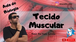 Histologia Animal aula XII  Tecidos Musculares [upl. by Ryter959]