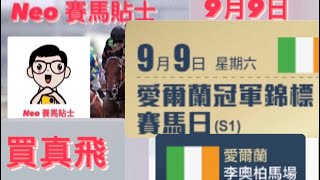 買真飛 【賽馬貼士】2023年9月9日 愛爾蘭賽事 心水推介 愛爾蘭冠軍錦標賽馬日 李奧柏馬場 Irish Champion Stakes Day Leopardstown Racecourse [upl. by Ralaigh483]