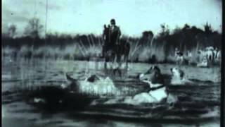 Dogs used for hunting 1940s  Film 1977 [upl. by Stewardson]