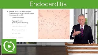 Endocarditis Definition Pathology Classification amp Diagnosis – Infectious Diseases  Lecturio [upl. by Helse207]