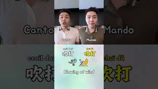 Cantonese vs Mandarin  Blow cantonese mandarin languagelearning language chinese [upl. by Mirella]