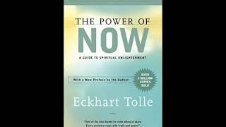 The Power of Now by Eckhart Tolle Audiobook  Book Summary in Hindi [upl. by Lavona]