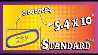 Standard Form  GCSE Biology Lesson 03  Learn how to convert numbers into and out of Standard form [upl. by Eerpud527]