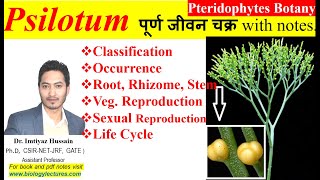 Psilotum life cycle morphology anatomy reproduction bscbotany pteridophytes 1stsemesterexam [upl. by Seraphine]