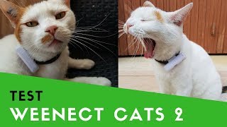 Weenect Cats 2  Test du traceur GPS pour chat [upl. by Repinuj]