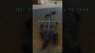 How To Tame A Lystrosaurus In Ark Survival Evolved shorts ark [upl. by Katie]