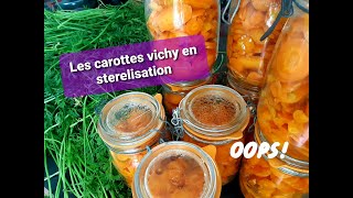 Carottes Vichy en stérilisation [upl. by Nnyltiak83]