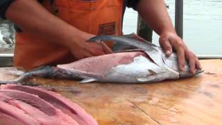 How to Fillet an Oregon Albacore Tuna [upl. by Bui320]