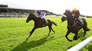 Smart prospect £2 million purchase Euphoric creates good impression on debut at Navan [upl. by Fortunato613]