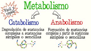 🍔¿Qué es el Metabolismo Catabolismo y Anabolismo diferencias Fácil y Rápido  BIOLOGÍA  QUÍMICA [upl. by Avirt444]