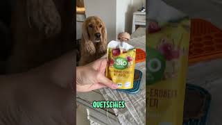 🐶 🐾🍽️ Verwöhne deine Fellnase mit gesunden Leckerlis 🐶🥄 🐕 [upl. by Annayehc]