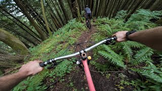 Sufferfest at the Chilliwack Community Forest [upl. by Banerjee]