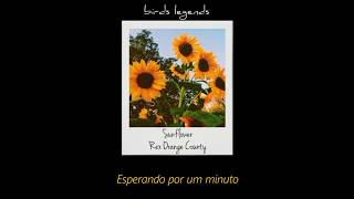 Sunflower  Rex Orange County legendado [upl. by Davidson]