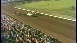 1980 Little Brown Jug  Niatross amp Clint Galbraith [upl. by Micaela297]