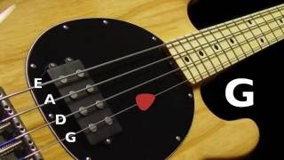 Bass Tuner  Standard Bass Tuning E A D G 4 Strings [upl. by Hanni]