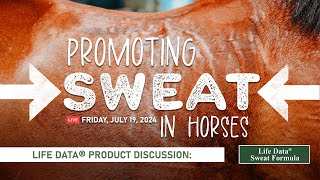 Promoting Sweat in Horses [upl. by Xena]