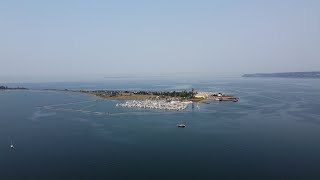 Kayaking Semiahmoo Bay  Blaine Washington State [upl. by Eednim]