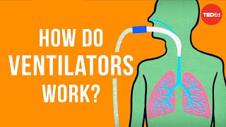 How do ventilators work  Alex Gendler [upl. by Clie]