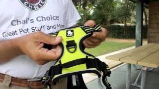 Best Harness For Dogs [upl. by Roddie]