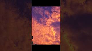 Sky Photography Tutorial With Phone  Creative Photography Idea youtubeshorts [upl. by Ayote]