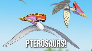 Pterosaurs Evolution of Flight in Reptiles [upl. by Song]