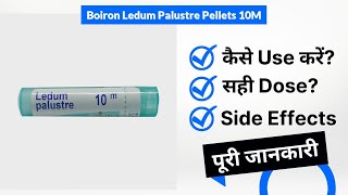 Boiron Ledum Palustre Pellets 10M Uses in Hindi  Side Effects  Dose [upl. by Jaban]