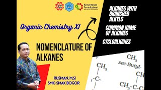 Nomenclature of Alkane 2 [upl. by Siuoleoj287]