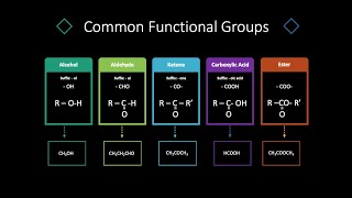 Functional Groups  Organic Chemistry [upl. by Farrica155]