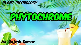 Phytochrome Plant PhysiologyCSIR NET in Hindi [upl. by Friedland552]