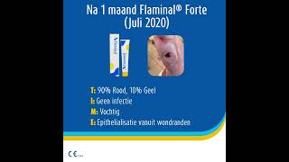 Case Studie  Flaminal® voor de behandeling van een arterieel ulcus [upl. by Ayekal451]