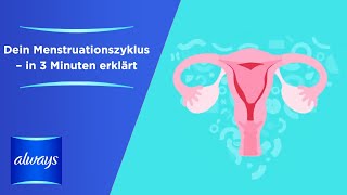 Was ist Periode und Menstruationszyklus [upl. by Perkoff]