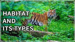 Habitat  Types of habitat  Animal Videos for Kids  eLearn K12 [upl. by Hameerak]