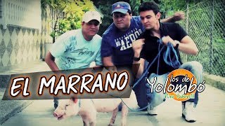 El Marrano  Los De Yolombó l Video Oficial [upl. by Atila]