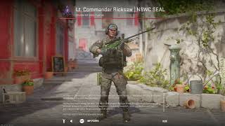 CS2 Lt Commander Ricksaw  NSWC SEAL  CounterStrike 2 Agent Skin Showcase amp Inspect [upl. by Grous]