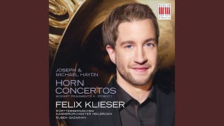 Horn Concerto No 1 in D Major Hob VIId3 II Adagio [upl. by Soma]