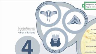 Top 10 Adrenal Fatigue Facts Made Easy [upl. by Wolsky]