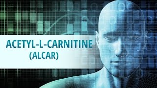 AcetylLCarnitine ALCAR [upl. by Winslow]