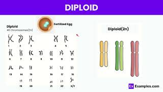 bio 11 Genes Populations and evolution  part 1 [upl. by Diamond]