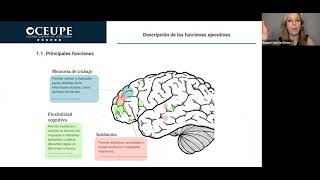 Funciones ejecutivas y su importancia en la etapa escolar [upl. by Codie346]