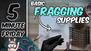 Basic Coral Fragging Supplies amp a Zoanthid Fragging Mini Session [upl. by Tiny976]