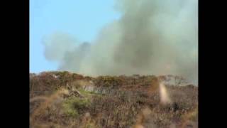 Kahuku wind farm fire update [upl. by Belier]