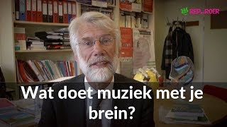 Erik Scherder Wat doet muziek met je brein [upl. by Jepum220]