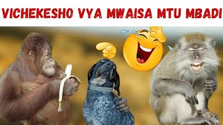 MWAISA COMEDY MPYA 🤣🤣🤣😂 [upl. by Crescentia295]