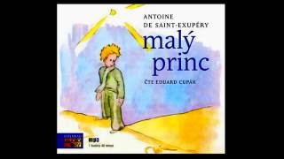 Malý princ Nejznámější citáty z knihy Antoine de SaintExupéryho [upl. by Algernon]