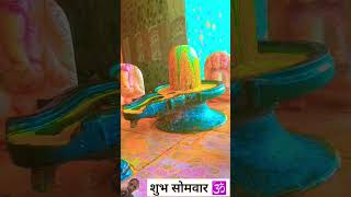 shivling ka haldi s abhisek 🙏youtubeshorts pardeepmishra harharmahadev trending video [upl. by Watkins]