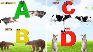 Phonics for kids Animals ABC song Learn ABC alphabet letters Nursery rhymes [upl. by Jarrid]