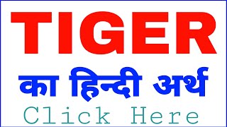 Tiger meaning in hindi  Tiger ka matlab  Tiger ko hindi mein kya kahate hain [upl. by Olzsal724]