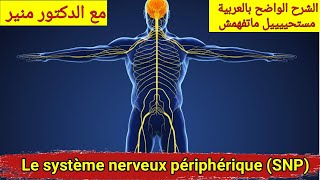 Anatomie et physiologie du systeme nerveux peripherique درس الجهاز العصبي المحيطي [upl. by Zephan]