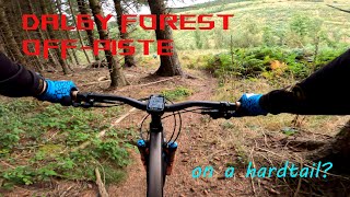 Dalby forest off piste on hardtail [upl. by Jacquenetta888]