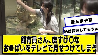 飼育員さん、テレビで見せつけてしまう【ネットの反応】美女bra [upl. by Analise]